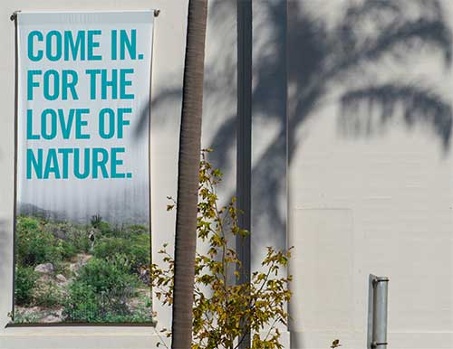 Choosing the Right Banner Size and Material for DFW Events